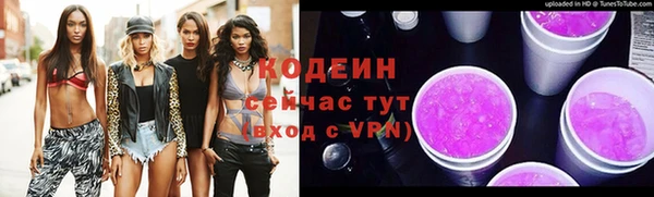 ешки Вяземский