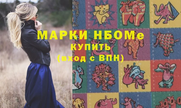 мдпв Волоколамск
