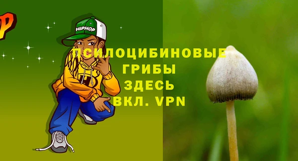 мдпв Волоколамск