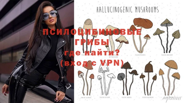 мдпв Волоколамск