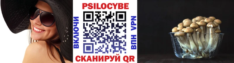 Галлюциногенные грибы Psilocybe Калач-на-Дону